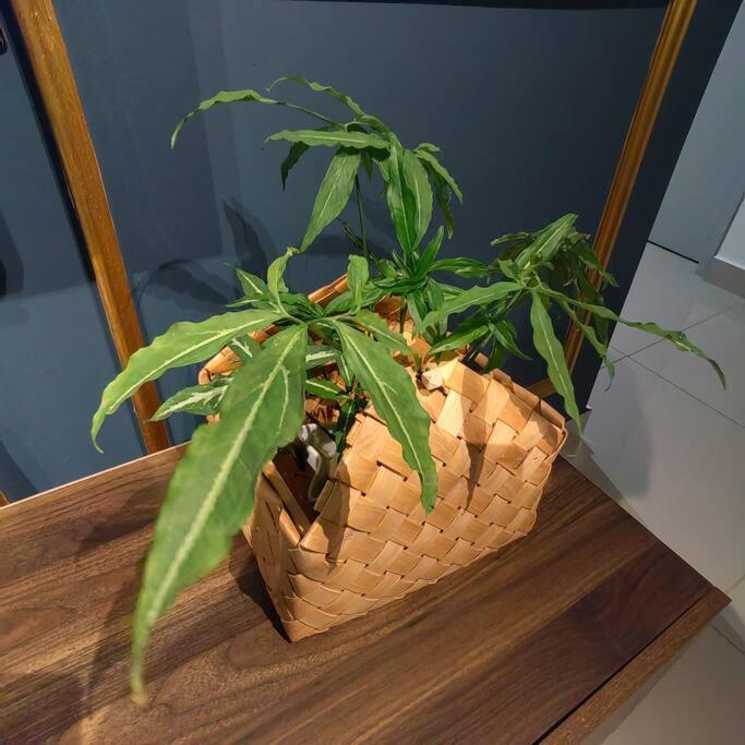 Alocasia Geniehome 3Br Free Wifi @ Utropolis Shah Alam Eksteriør bilde